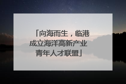 向海而生，临港成立海洋高新产业青年人才联盟