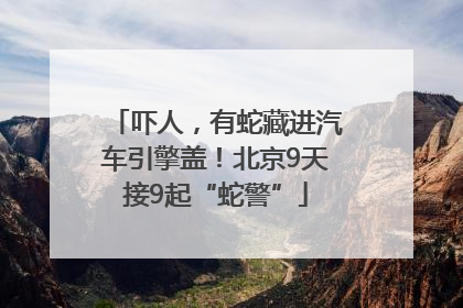 吓人，有蛇藏进汽车引擎盖！北京9天接9起“蛇警”
