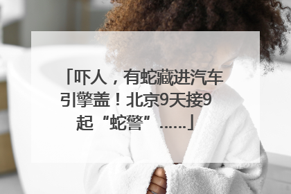 吓人，有蛇藏进汽车引擎盖！北京9天接9起“蛇警”……