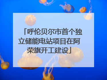 呼伦贝尔市首个独立储能电站项目在阿荣旗开工建设