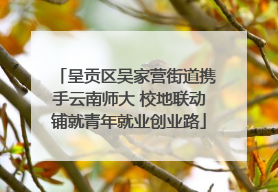 呈贡区吴家营街道携手云南师大 校地联动铺就青年就业创业路