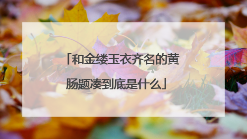 和金缕玉衣齐名的黄肠题凑到底是什么
