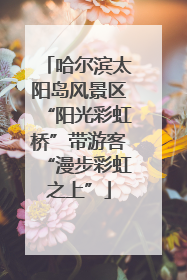 哈尔滨太阳岛风景区“阳光彩虹桥”带游客“漫步彩虹之上”