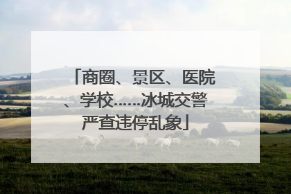 商圈、景区、医院、学校……冰城交警严查违停乱象