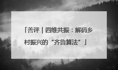 善评｜四维共振：解码乡村振兴的“齐鲁算法”