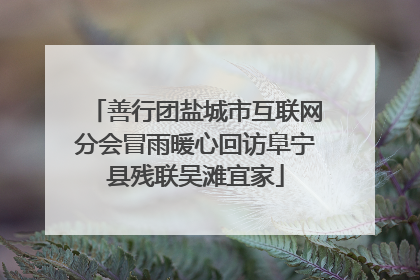 善行团盐城市互联网分会冒雨暖心回访阜宁县残联吴滩宜家