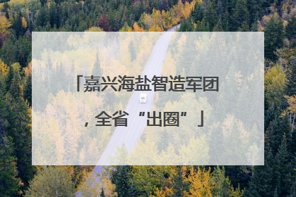 嘉兴海盐智造军团，全省“出圈”