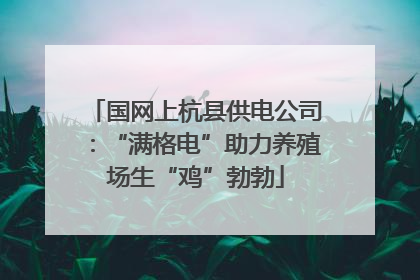 国网上杭县供电公司：“满格电”助力养殖场生“鸡”勃勃