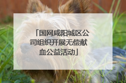 国网咸阳城区公司组织开展无偿献血公益活动