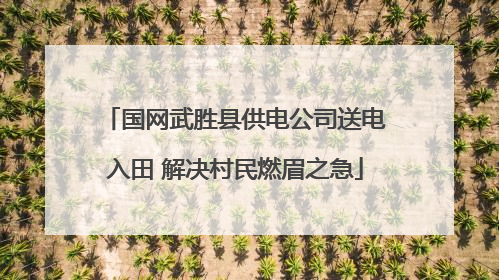 国网武胜县供电公司送电入田 解决村民燃眉之急