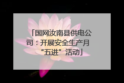 国网汝南县供电公司：开展安全生产月“五进”活动