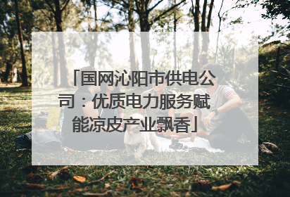 国网沁阳市供电公司：优质电力服务赋能凉皮产业飘香