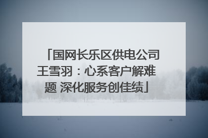 国网长乐区供电公司王雪羽：心系客户解难题 深化服务创佳绩