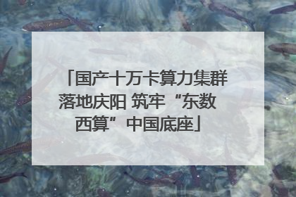 国产十万卡算力集群落地庆阳 筑牢“东数西算”中国底座