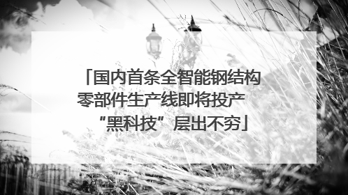 国内首条全智能钢结构零部件生产线即将投产 “黑科技”层出不穷