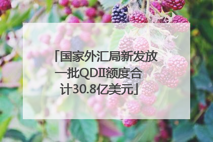 国家外汇局新发放一批QDII额度合计30.8亿美元