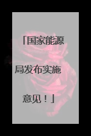 国家能源局发布实施意见！