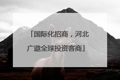 国际化招商，河北广邀全球投资客商