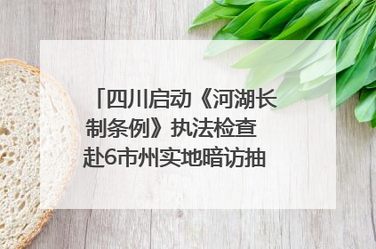 四川启动《河湖长制条例》执法检查 赴6市州实地暗访抽查｜四川人大之声