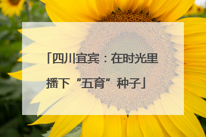 四川宜宾：在时光里播下“五育”种子