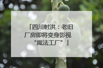 四川射洪：老旧厂房即将变身影视“魔法工厂”