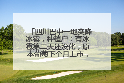 四川巴中一地突降冰雹，种植户：有冰雹第二天还没化，原本葡萄下个月上市，现在全被打落