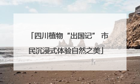 四川植物“出国记” 市民沉浸式体验自然之美