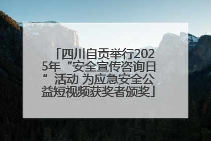 四川自贡举行2025年“安全宣传咨询日”活动 为应急安全公益短视频获奖者颁奖