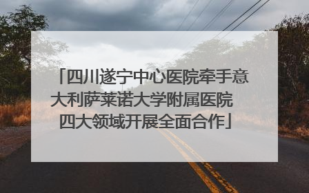 四川遂宁中心医院牵手意大利萨莱诺大学附属医院 四大领域开展全面合作