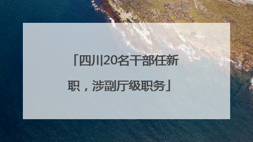 四川20名干部任新职，涉副厅级职务