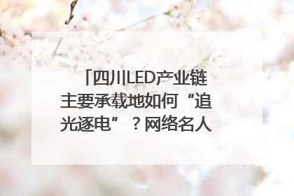 四川LED产业链主要承载地如何“追光逐电”？网络名人走进攀枝花找答案｜网络名人四川行