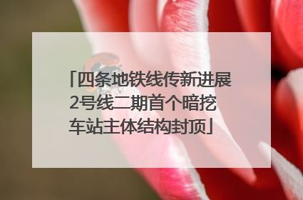四条地铁线传新进展 2号线二期首个暗挖车站主体结构封顶