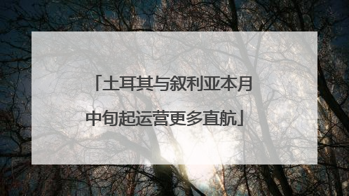 土耳其与叙利亚本月中旬起运营更多直航