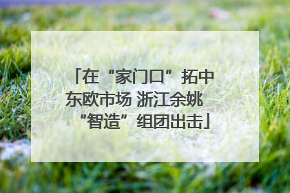 在“家门口”拓中东欧市场 浙江余姚“智造”组团出击