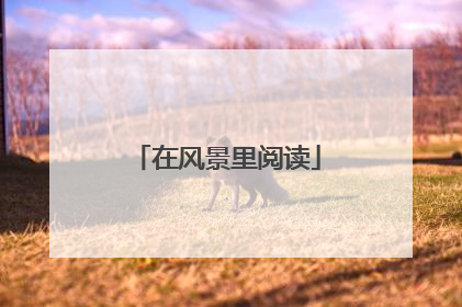 在风景里阅读