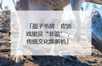 孺子书房：皮影戏里赏“非遗”，传统文化焕新机