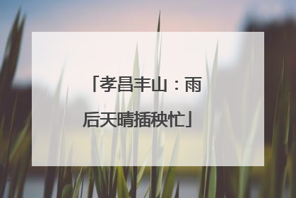 孝昌丰山：雨后天晴插秧忙