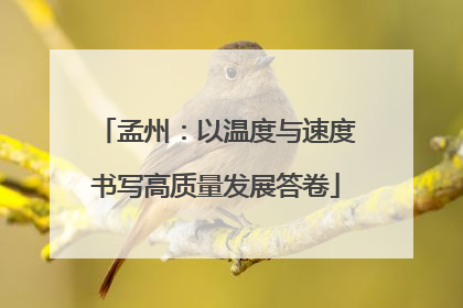 孟州：以温度与速度书写高质量发展答卷