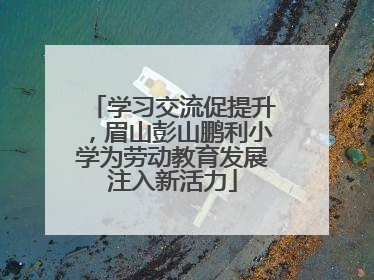 学习交流促提升，眉山彭山鹏利小学为劳动教育发展注入新活力