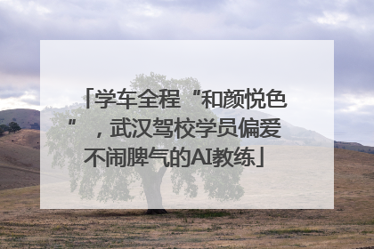 学车全程“和颜悦色”，武汉驾校学员偏爱不闹脾气的AI教练