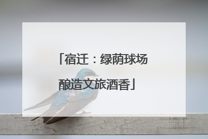 宿迁：绿荫球场酿造文旅酒香