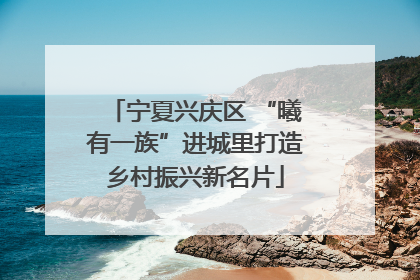 宁夏兴庆区 “曦有一族”进城里打造乡村振兴新名片