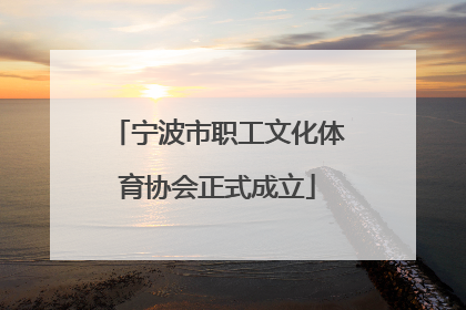 宁波市职工文化体育协会正式成立