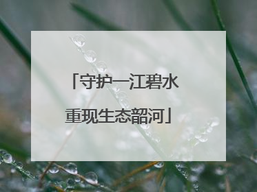 守护一江碧水 重现生态韶河