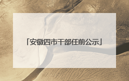 安徽四市干部任前公示