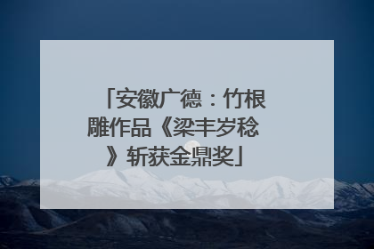 安徽广德：竹根雕作品《梁丰岁稔》斩获金鼎奖