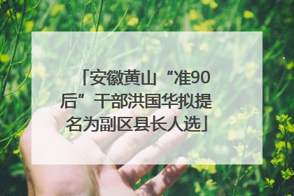 安徽黄山“准90后”干部洪国华拟提名为副区县长人选