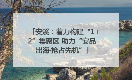 安溪：着力构建“1+2”集聚区 助力“安品出海·抢占先机”