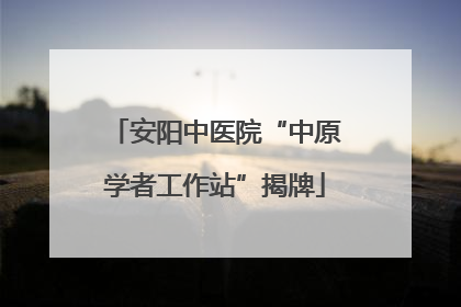 安阳中医院“中原学者工作站”揭牌