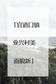 官道口镇 业兴村美面貌新